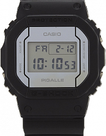 DW-5600PGB-1E