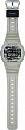 DW-5600CA-8